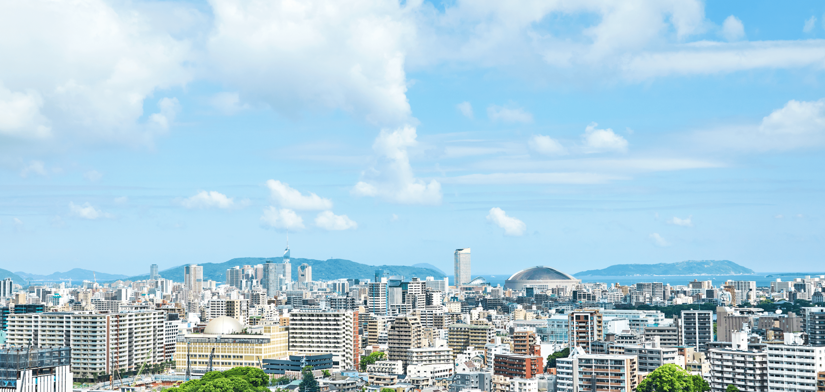 福岡の頼れる薬局を目指して！